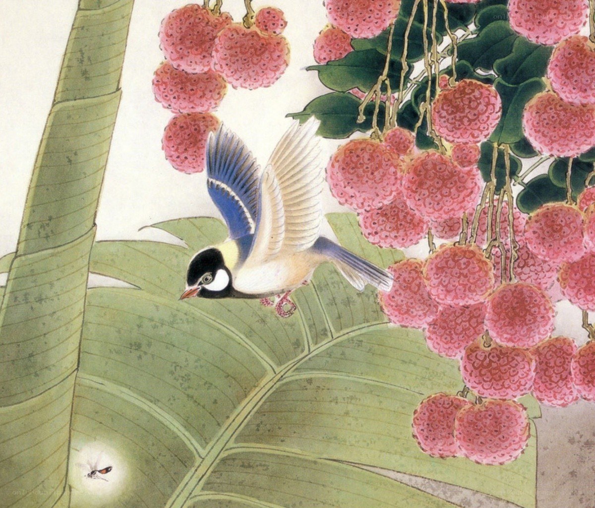 Bird among lychee fruits