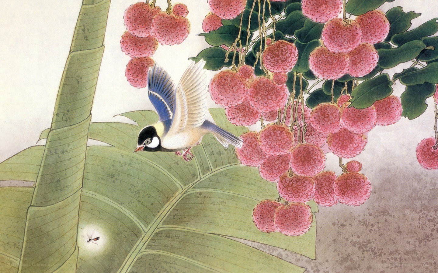 Bird among lychee fruits