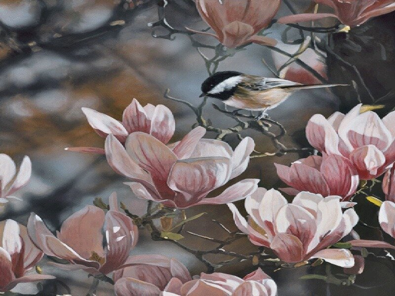 Bird among magnolia blossoms