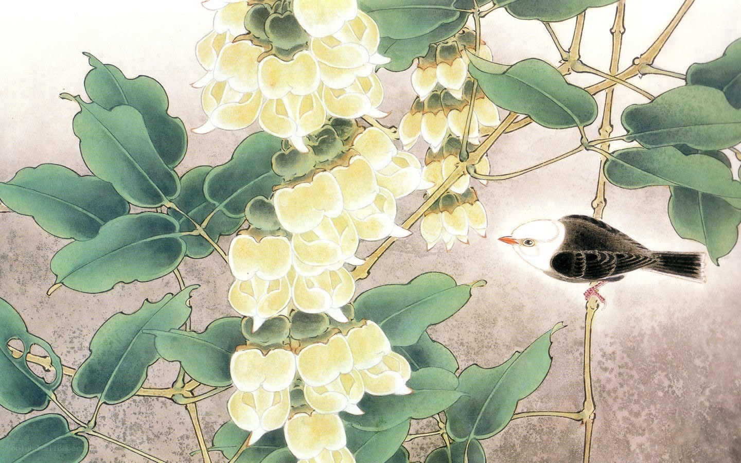 Bird among white flowers