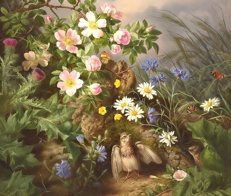 Bird Among Wildflowers