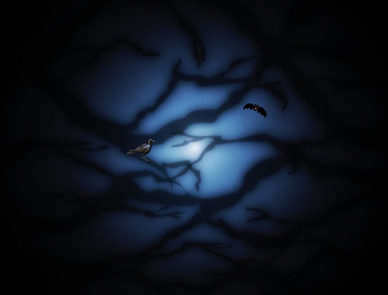 Bird and Bat in Night Sky