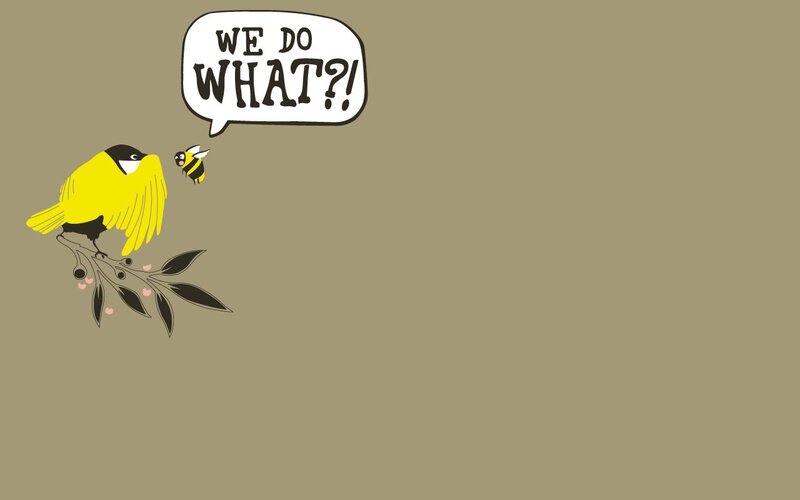 bird and bee conversation
