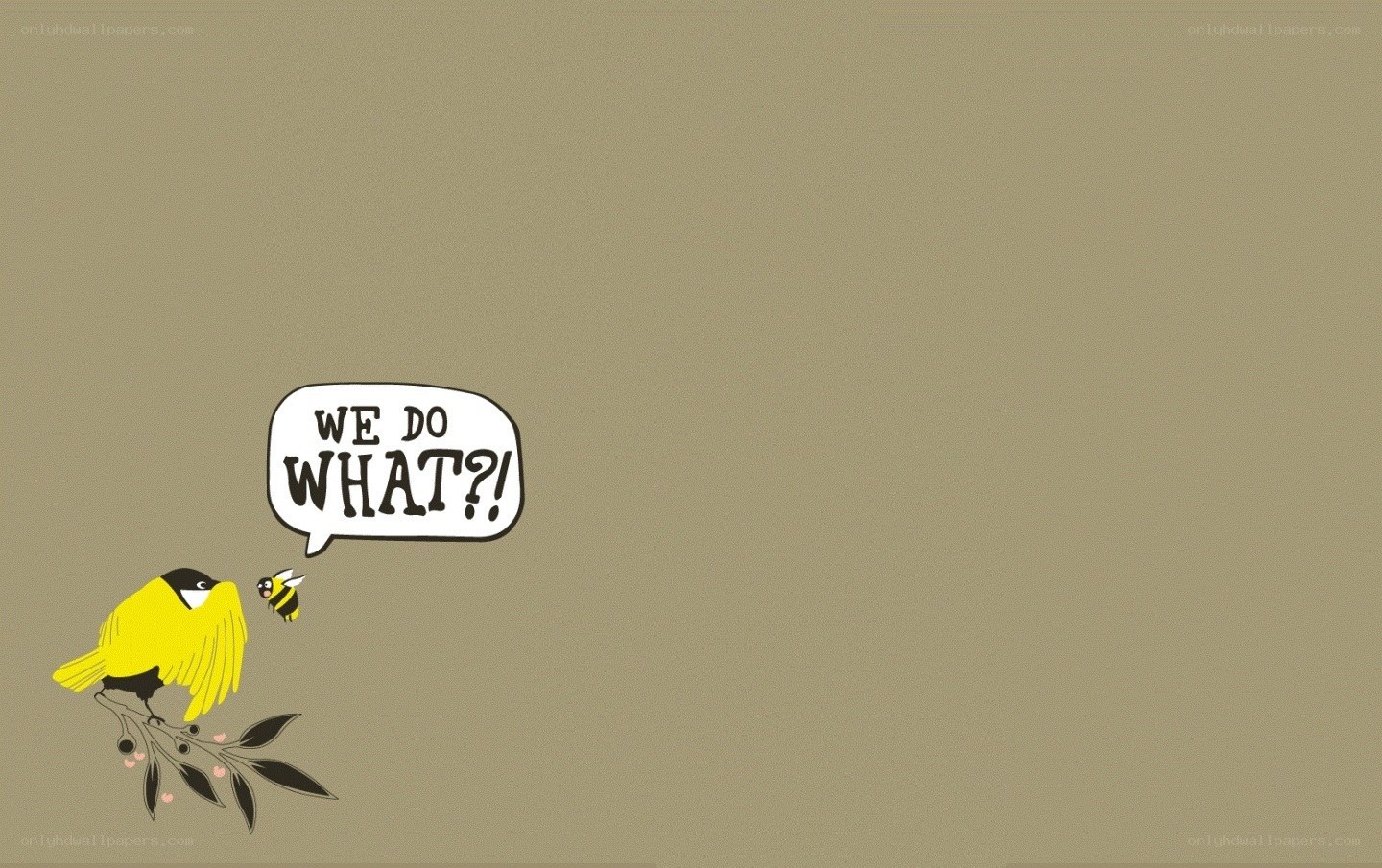 bird and bee dialogue
