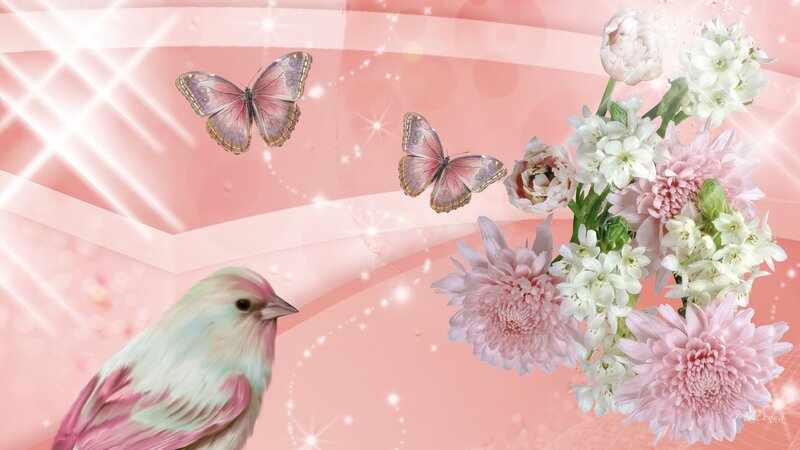 Bird and Butterflies with Flowers