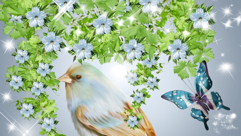 Bird and Butterfly in Flowers