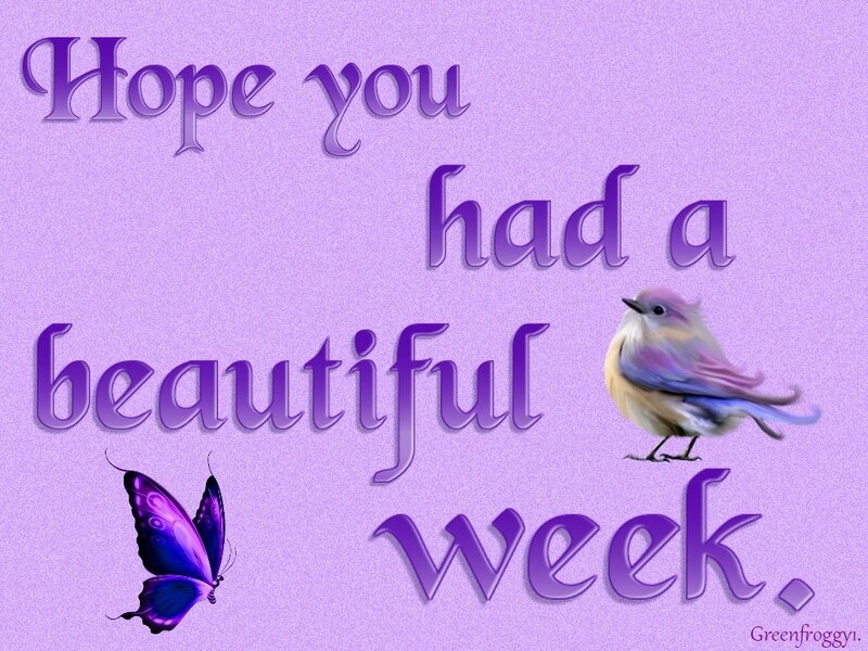 Bird and Butterfly
