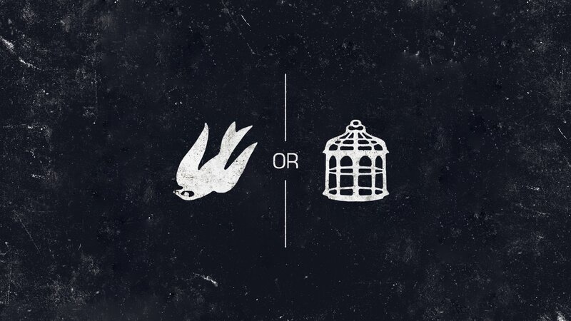 Bird and Cage Icon