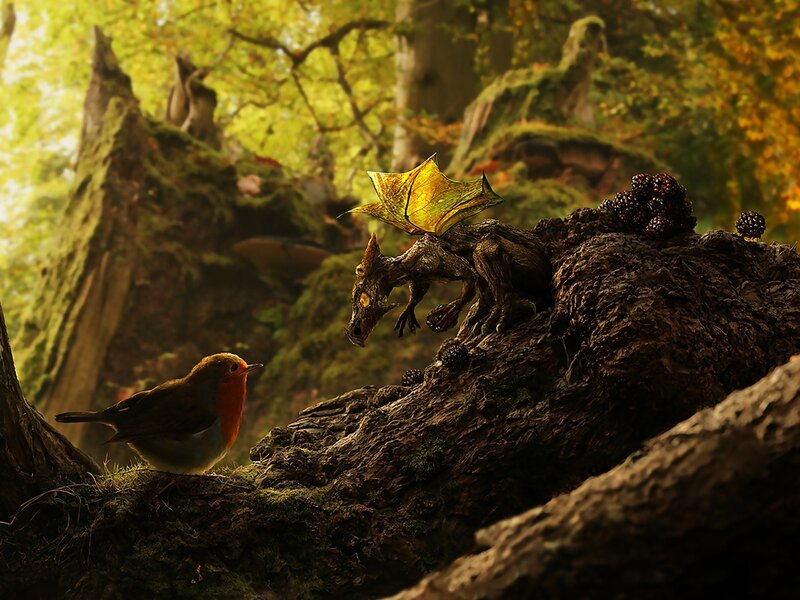 Bird and dragon in forest