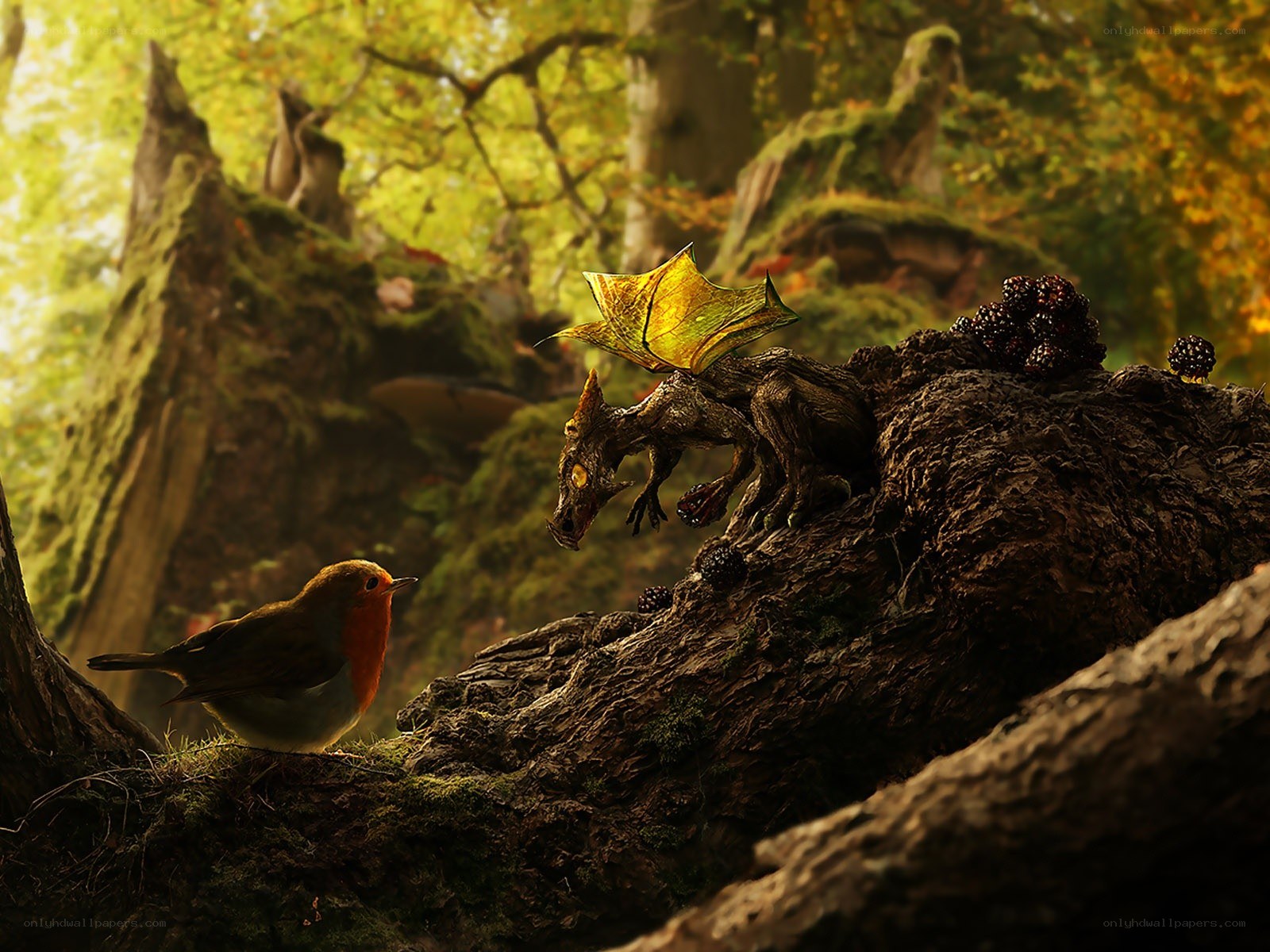 Bird and dragon in forest