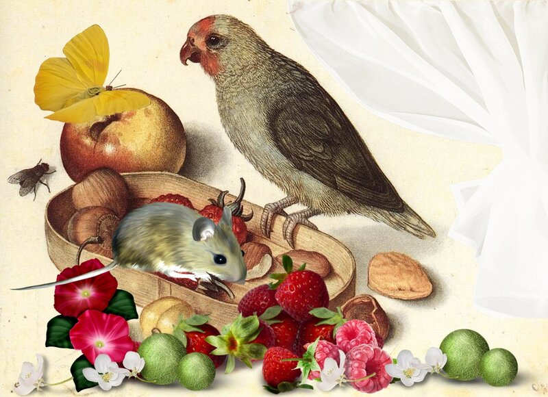 Bird and Mouse with Fruit