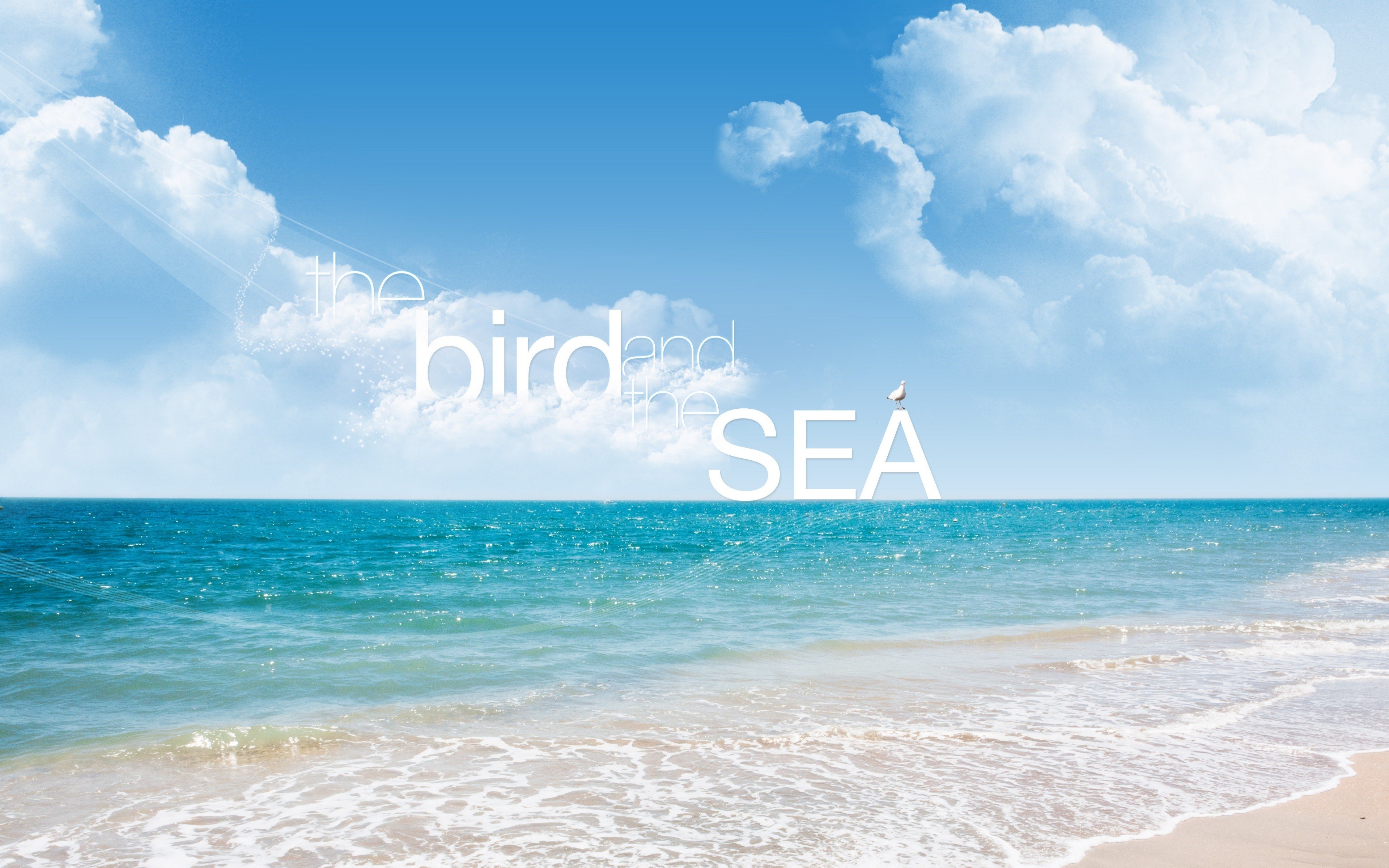 bird and the sea
