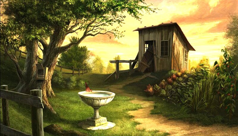 Bird at Birdbath