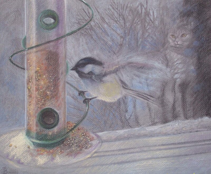 Bird at feeder with cat watching