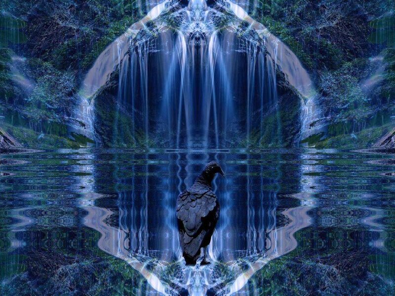 bird at waterfall reflection