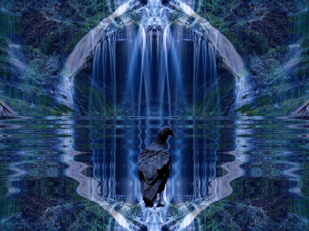 bird at waterfall reflection