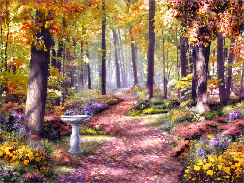 Bird Bath in Autumn Forest