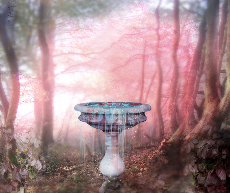 Bird Bath in Forest — Pink