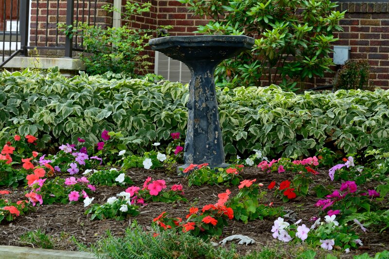 Bird Bath in Garden — Green, Serene