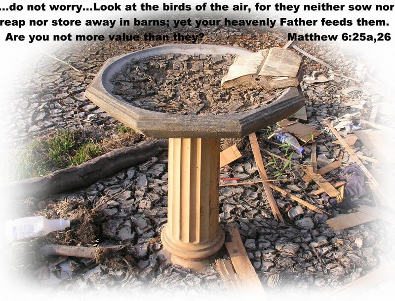 Bird bath with Bible in debris