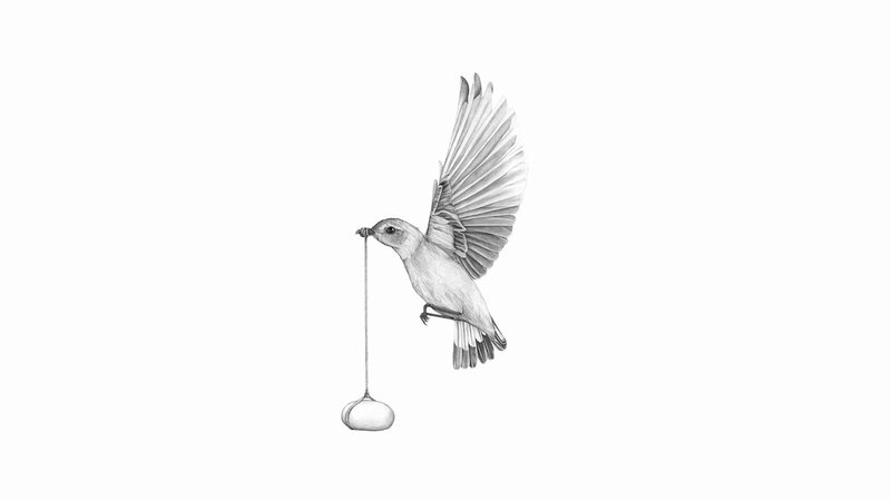 bird carrying an egg