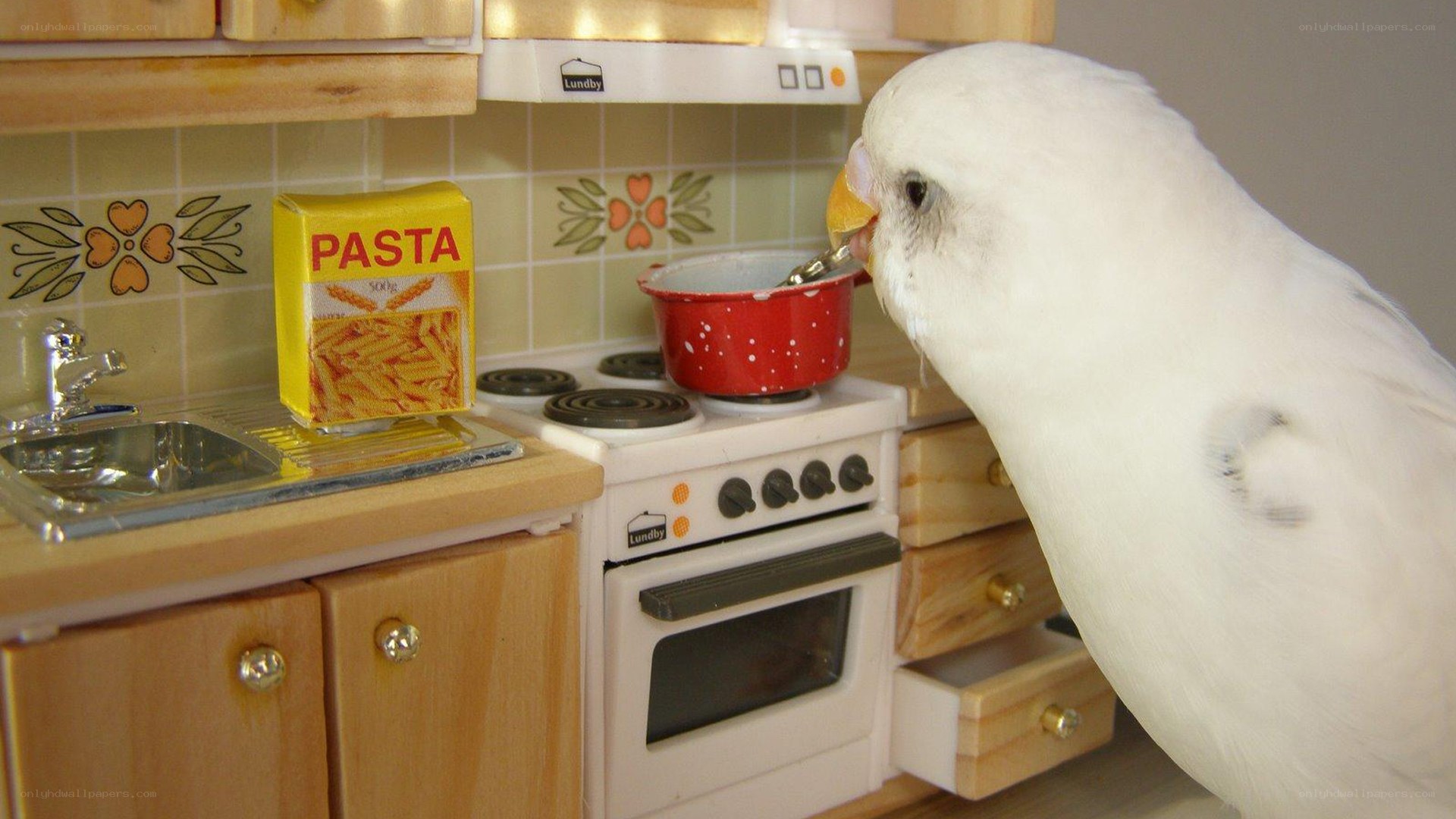 bird cooking in miniature kitchen