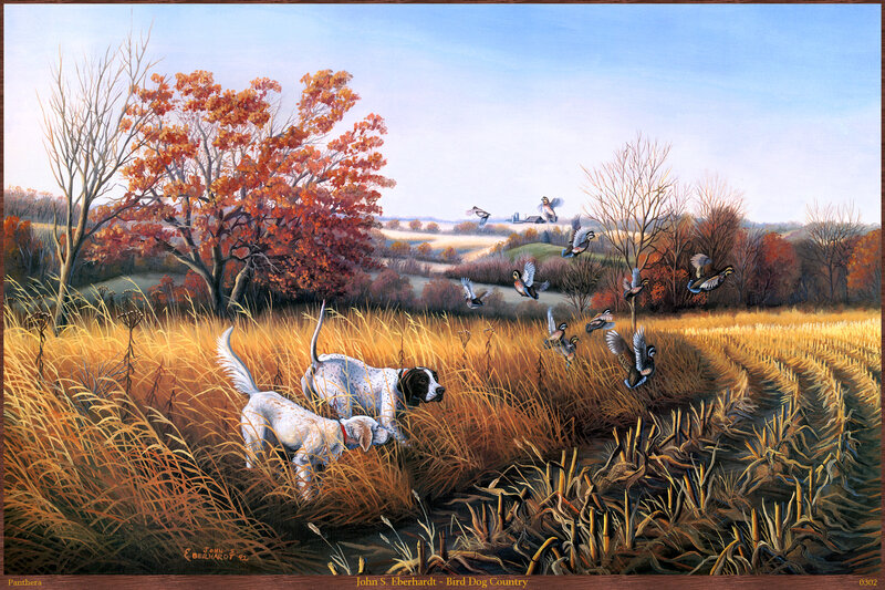 Bird Dogs in Field