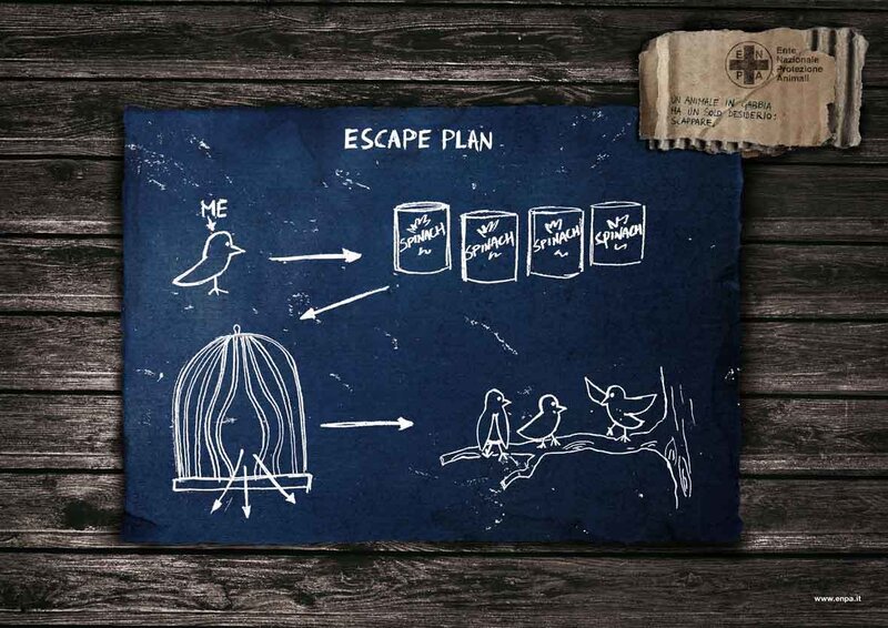Bird escape plan diagram