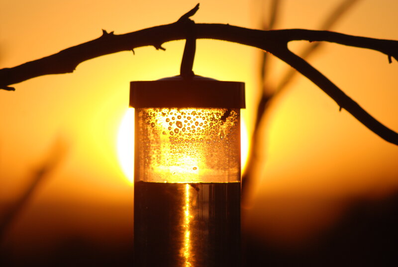 Bird Feeder at Sunset