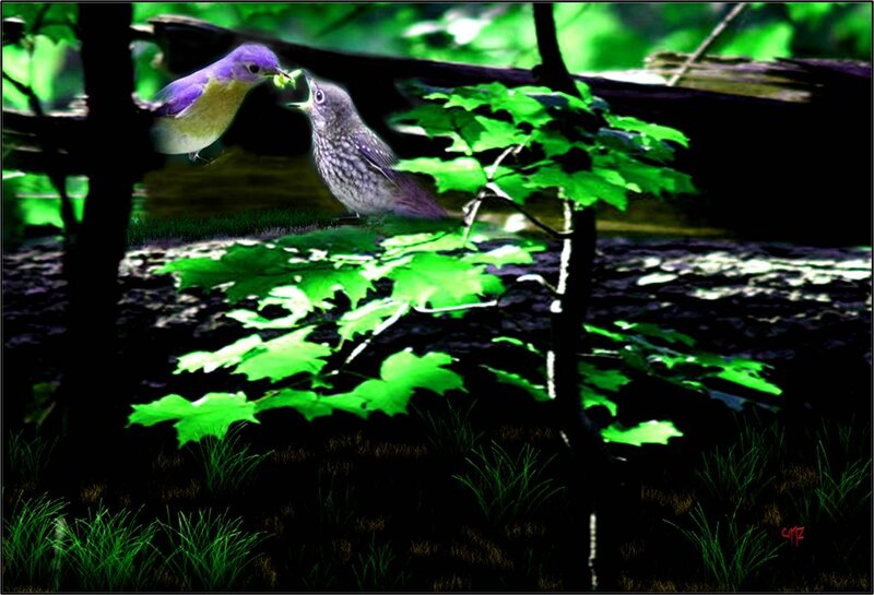 Bird Feeding Chick