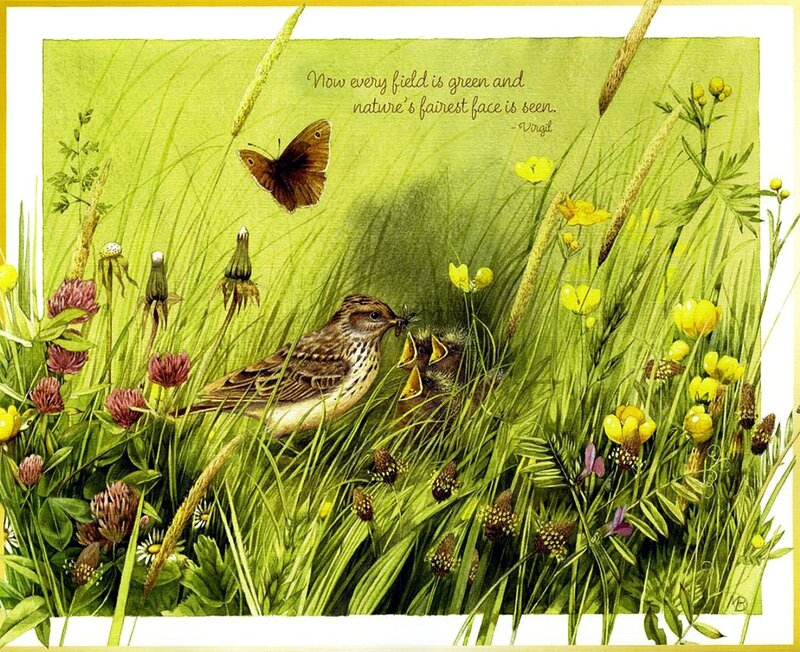 Bird Feeding Chicks — Green, Serene