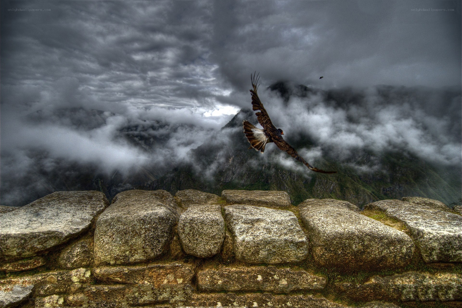 Bird flies over ancient ruins