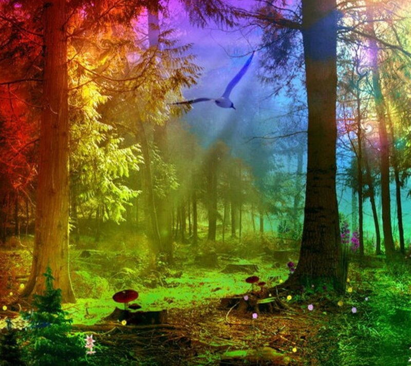 Bird Flying in Forest — Green, Magical