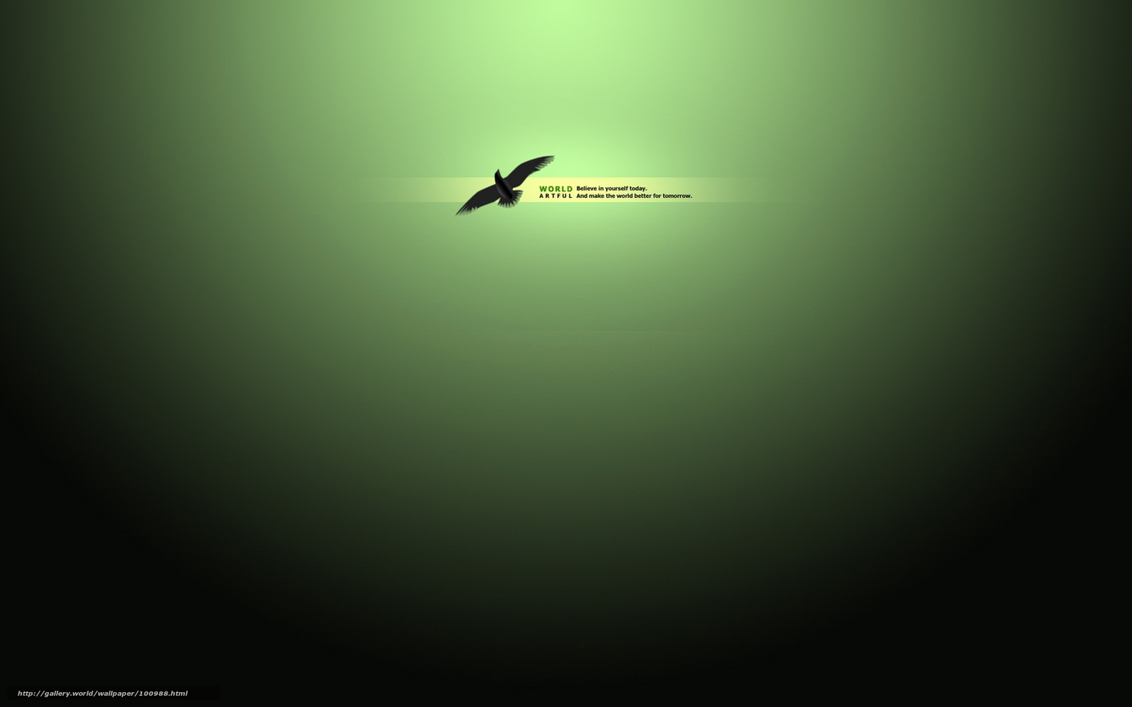 bird flying in green light