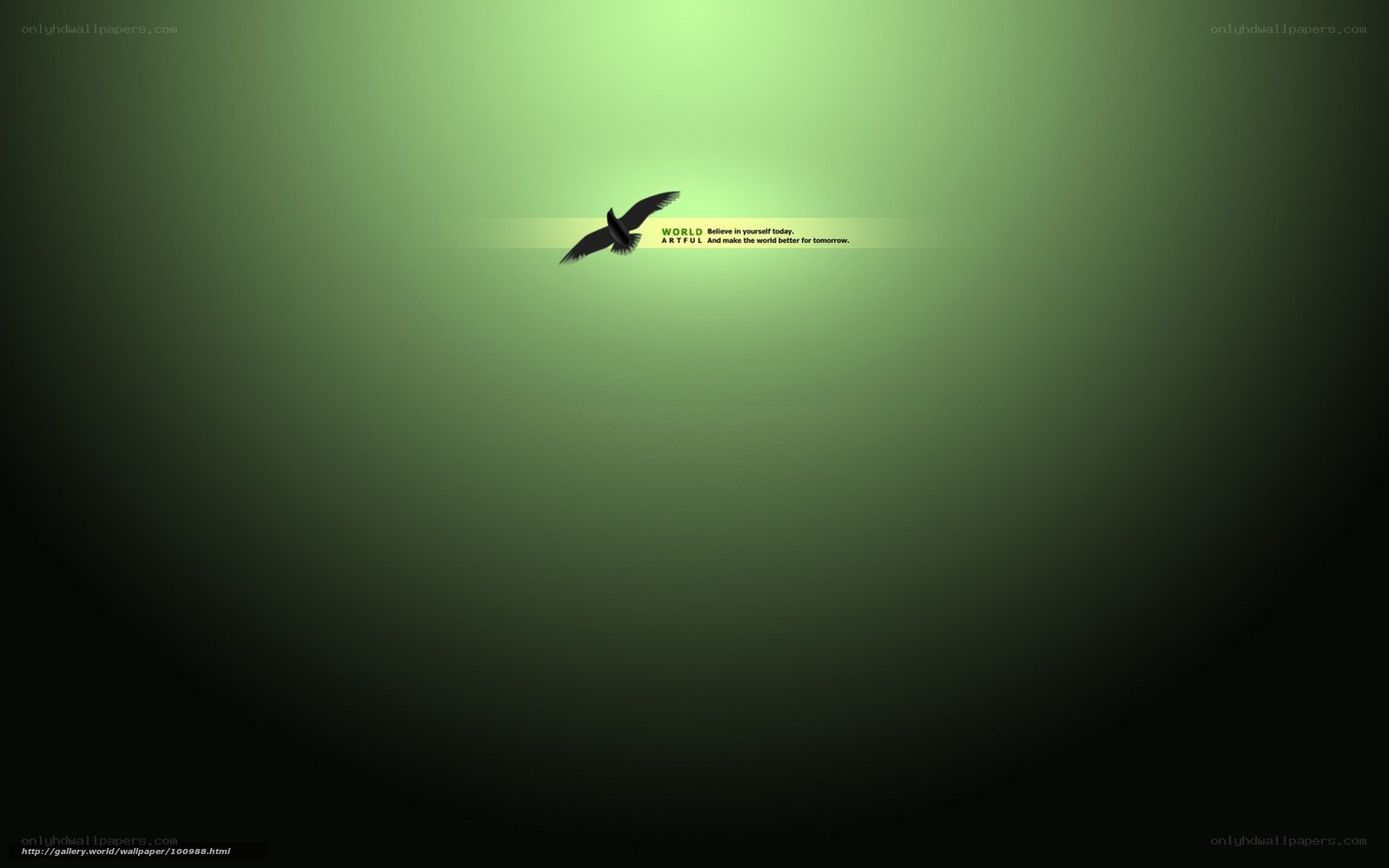 bird flying in green light