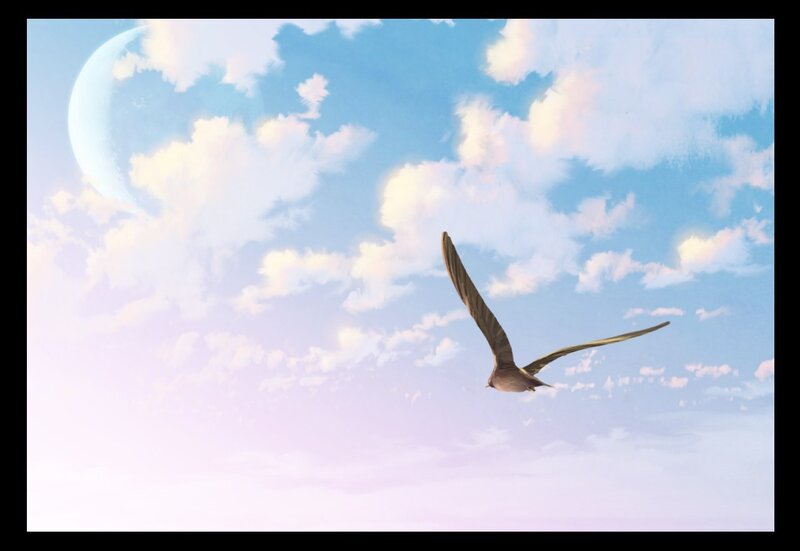 Bird Flying in Sky — Blue, Serene, Morning