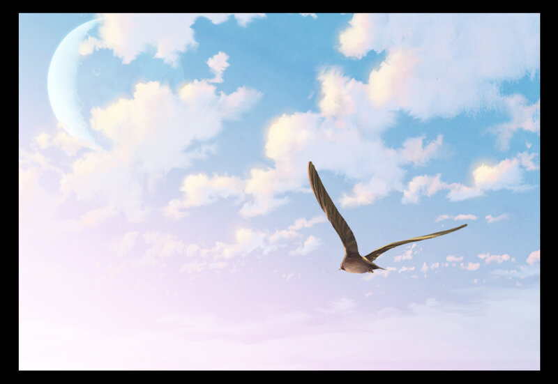 Bird Flying in Sky — Blue