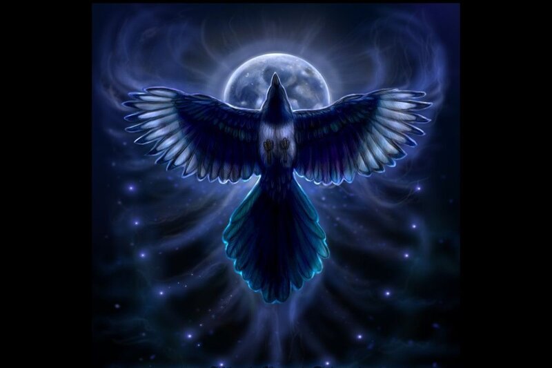 Bird Flying in Space