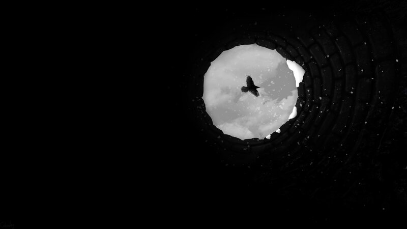 Bird Flying in Tunnel