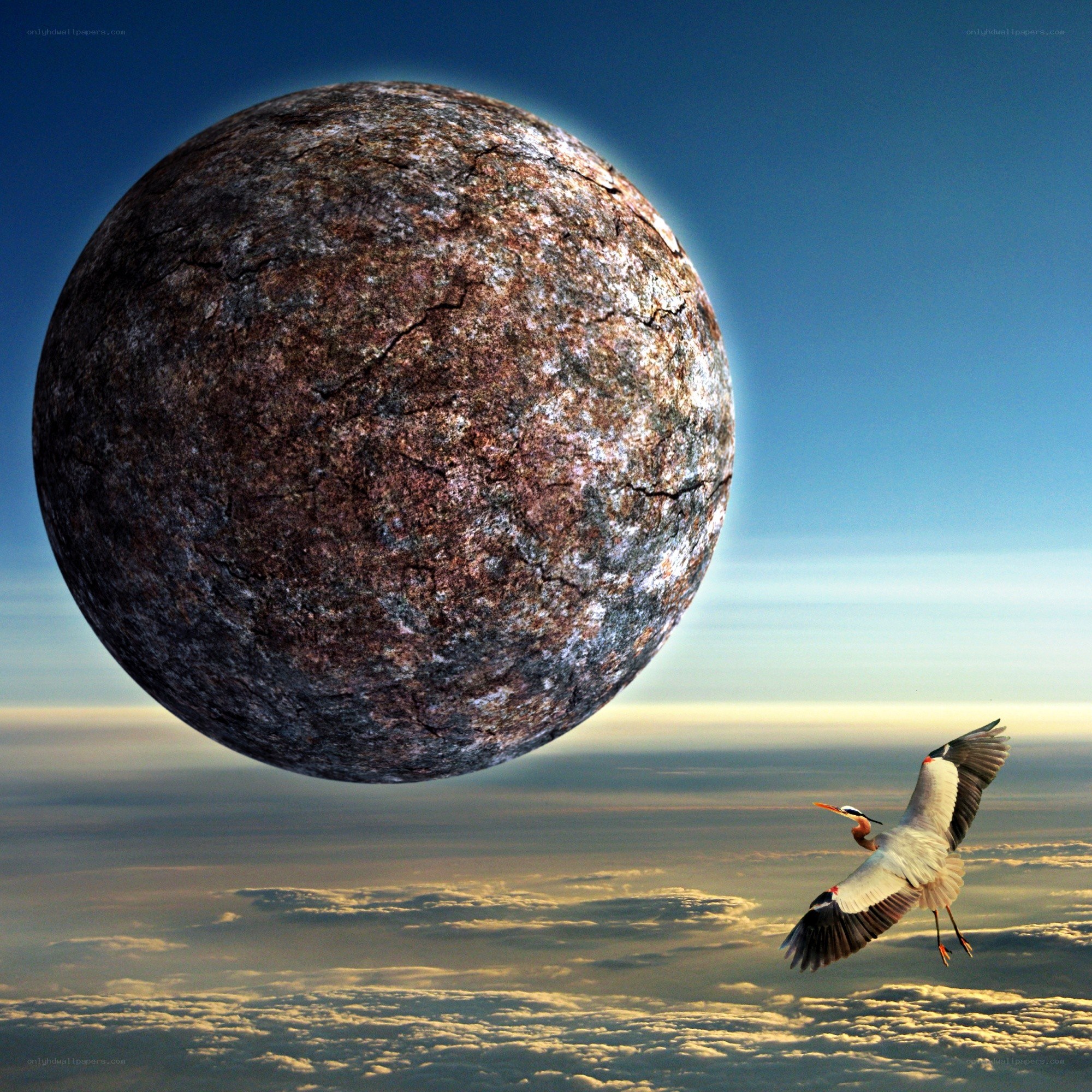 Bird flying near alien planet