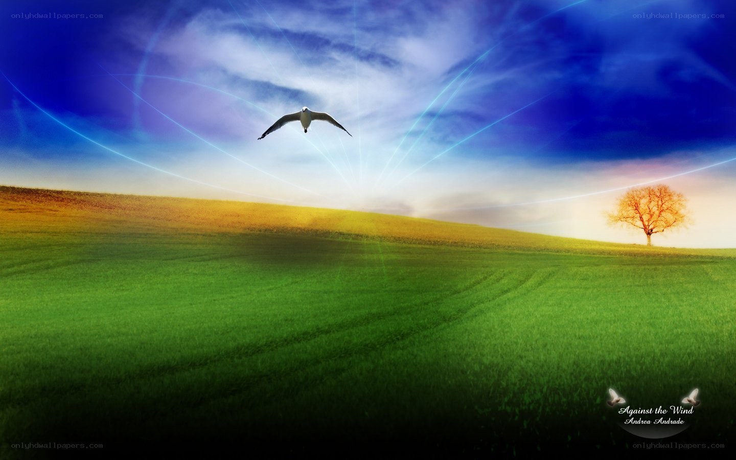 Bird Flying Over a Green Field