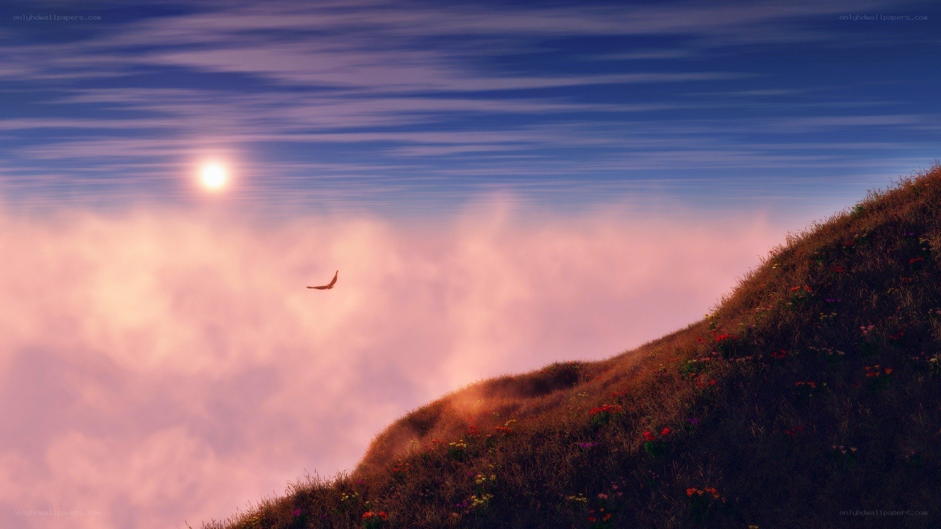 Bird flying over a hill at sunset