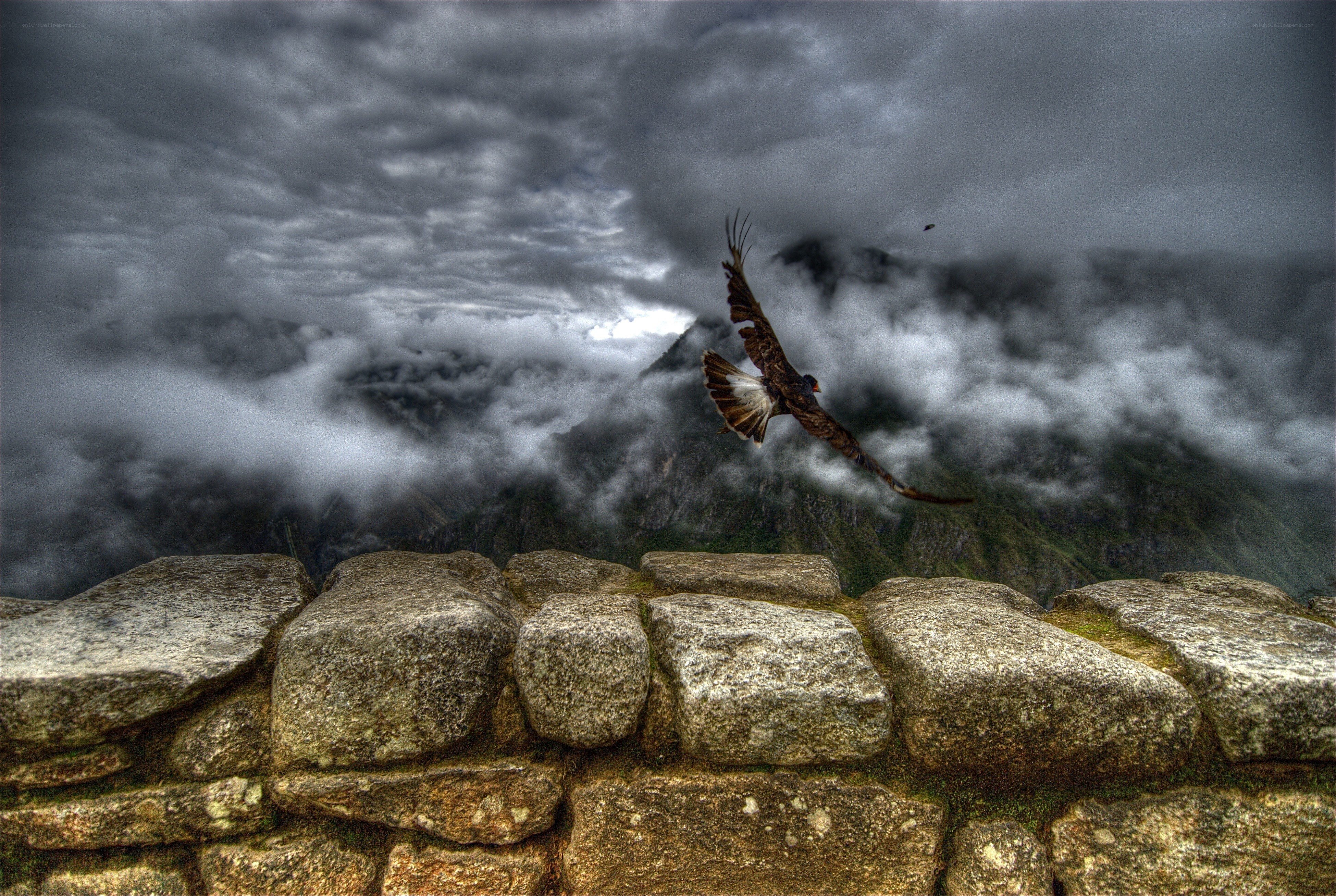 Bird flying over ancient ruins