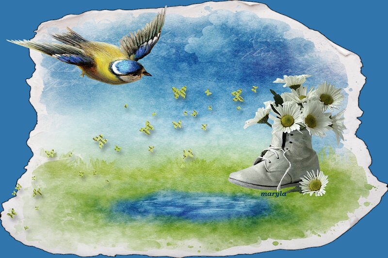 Bird Flying over Boot