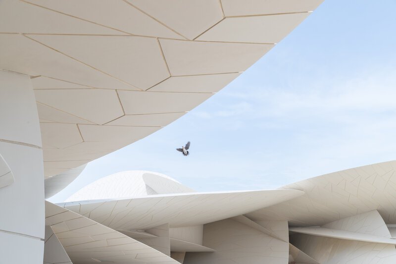 Bird Flying over Building
