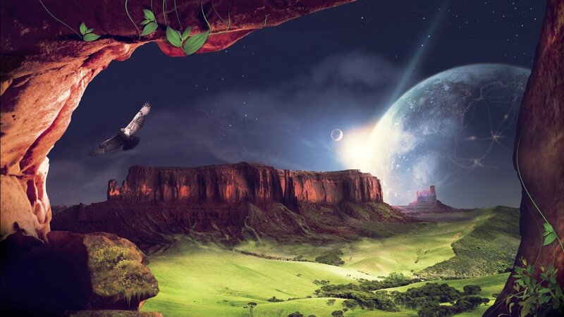 Bird Flying over Canyon — Green