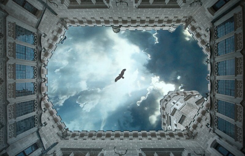 Bird Flying over Castle