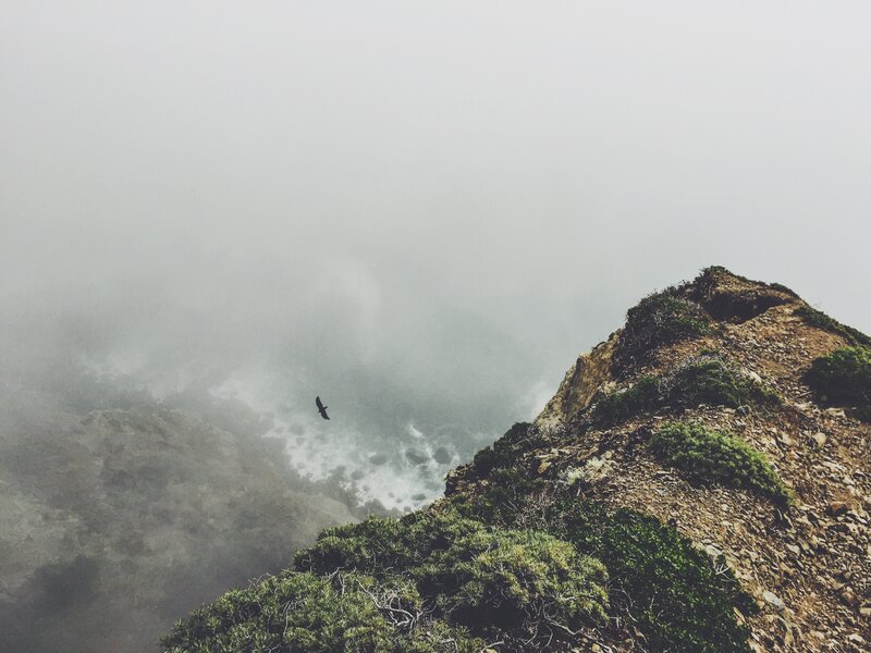 Bird Flying over Cliff — Gray