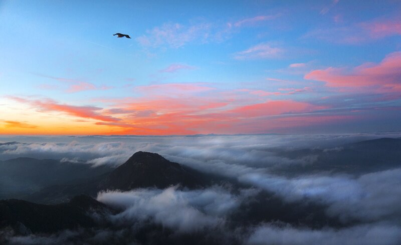 Bird Flying over Clouds — Blue