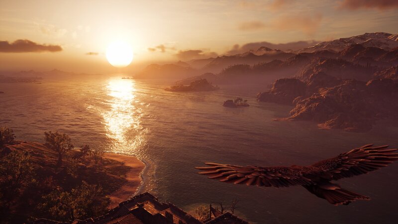 Bird Flying over Coast